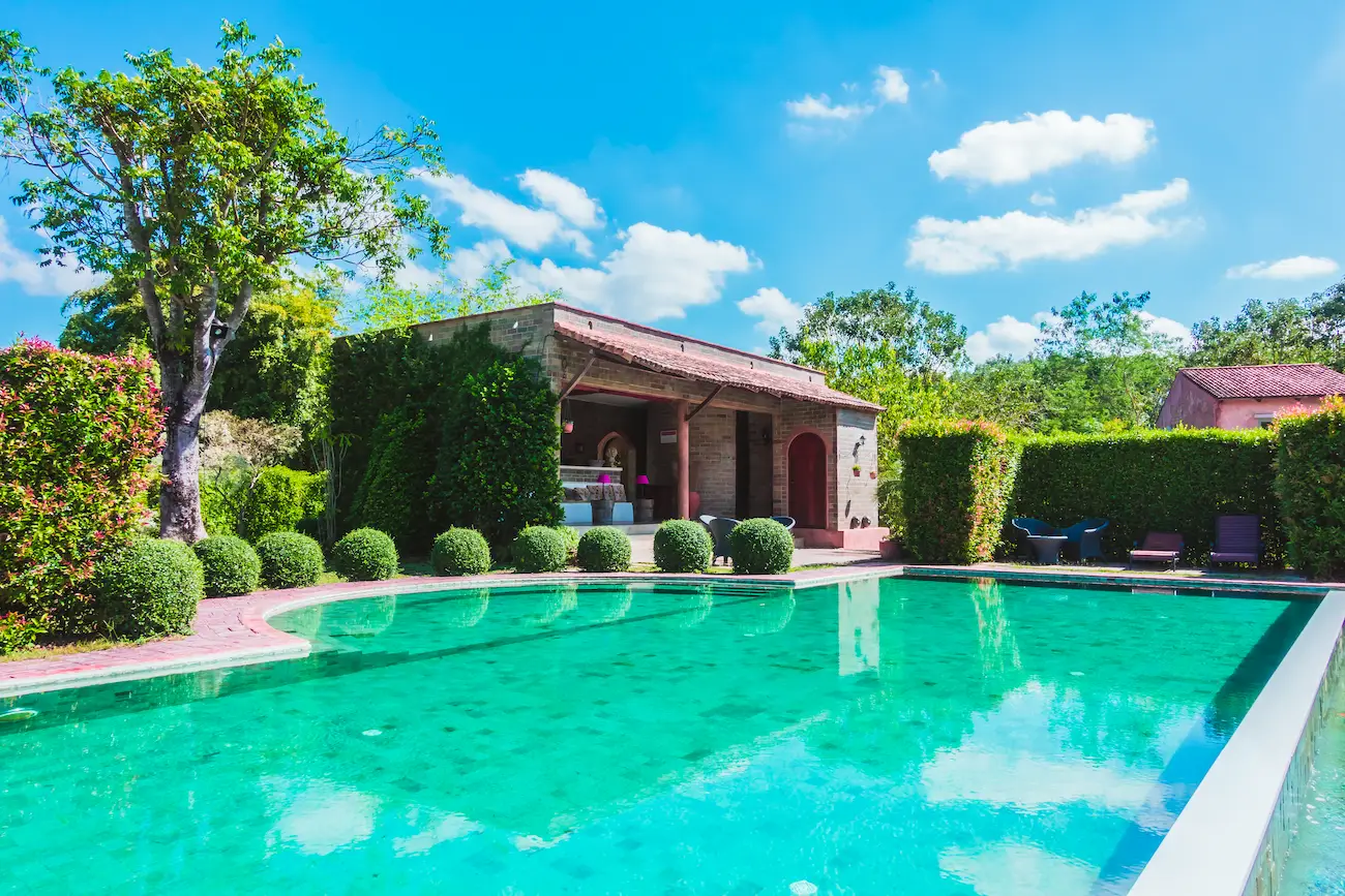 Piscine extérieure tropicale